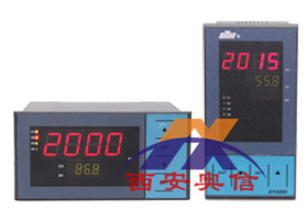  DY2000(D)8路巡检仪 DY21D1108香港东辉多路巡检仪