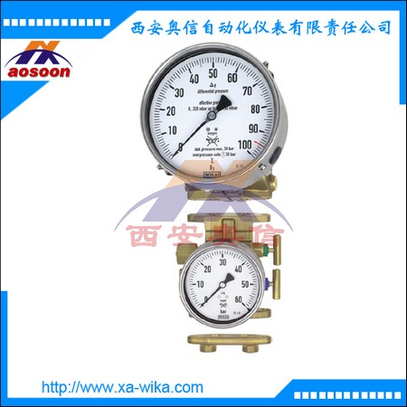  712.15.160 732.15.160 差压表 铜合金或不锈钢型
