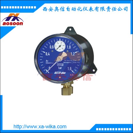 702.01.100  差压表
