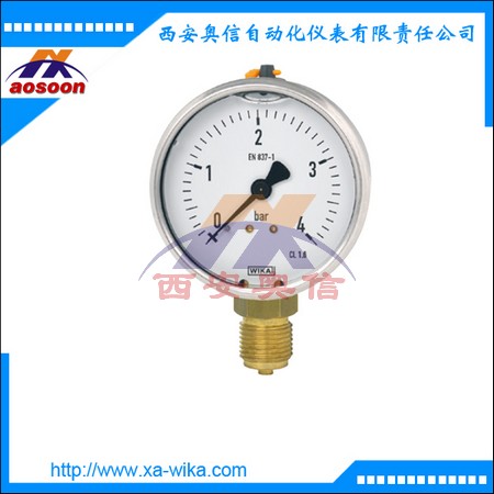 113.53.100德国wika波登管压力表