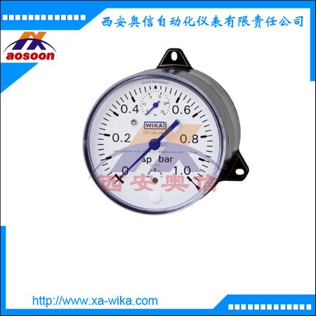 DPG40德国wika差压表德国威卡