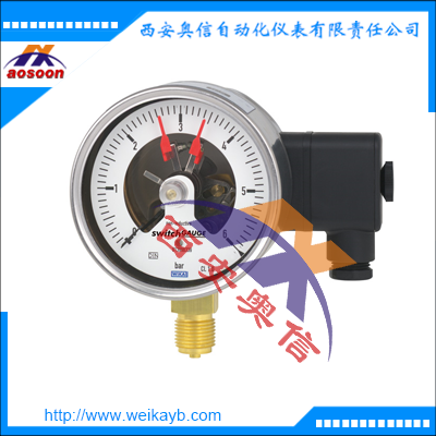 德国wika电接点压力表PGS21.100