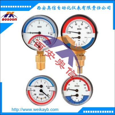 100.080 温度压力计 WIKA威卡轴向温度压力计