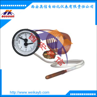 MFT 温度计带毛细管 德国wika机械温度测量仪表