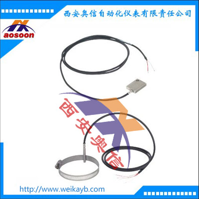 TR50  表面安装热电阻温度计 wika电子温度仪表