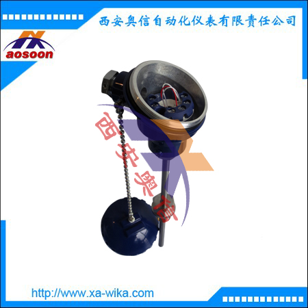 TR10-C 热电阻温度计可选配护套 wika威卡温度计