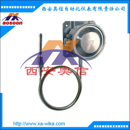 cella温度控制器 TWG温度开关 意大利Cella压力开关
