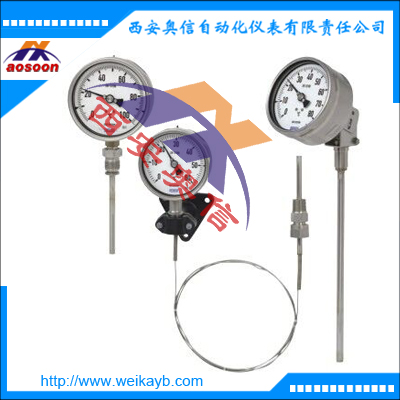 德国WIKA气包式温度计F73.100 威卡温度计
