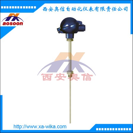 威卡隔爆热电阻 TR10-2-0-M-D-T-1AW12-2-ES-100含TW15保护套管