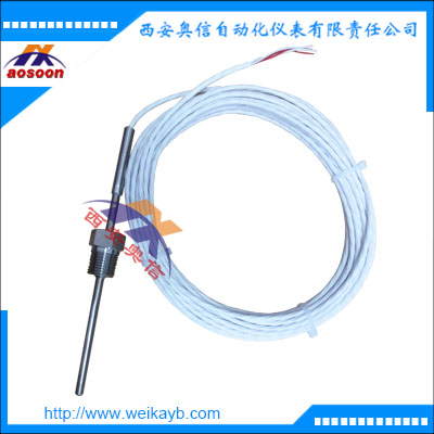 TC40威卡引线温度传感器 wika缆式热电偶