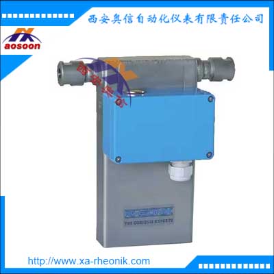 科里奥利流量计Rheonik加氢站流量,计雷奥尼克RHM03S-N1P1PFT+RHE