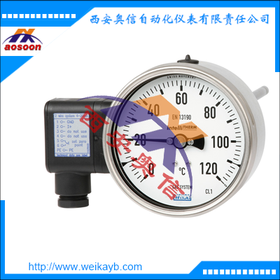 76系列替代产品TGT73轴向汽包式温度计带电信号输出