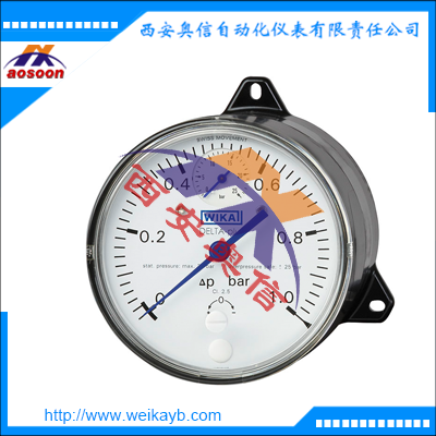 702.01.100替代产品DPG40带静压显示差压表