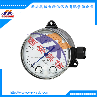 702.02.100替代产品DPGS40带微动开关的差压表