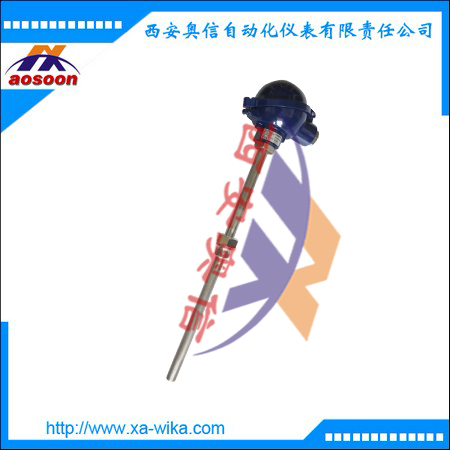 TR10-C 德国wika -196-600℃热电阻温度传感器