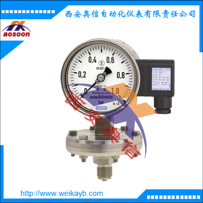德国WIKA PGT43HP 高过压保护电信号输出膜片压力表